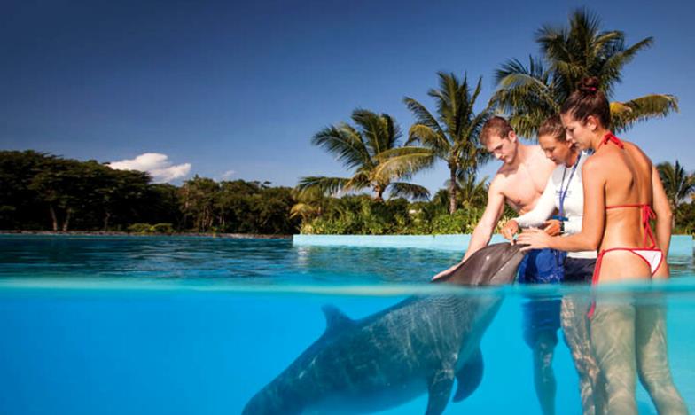 Acuático - Parque acuático en Cancún: disfrutar del turismo de familia, aventura y de relajación al mismo tiempo Delfines-ventura