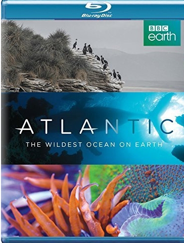 A-k-ny-rtelen-Atlanti-ce-n.jpg