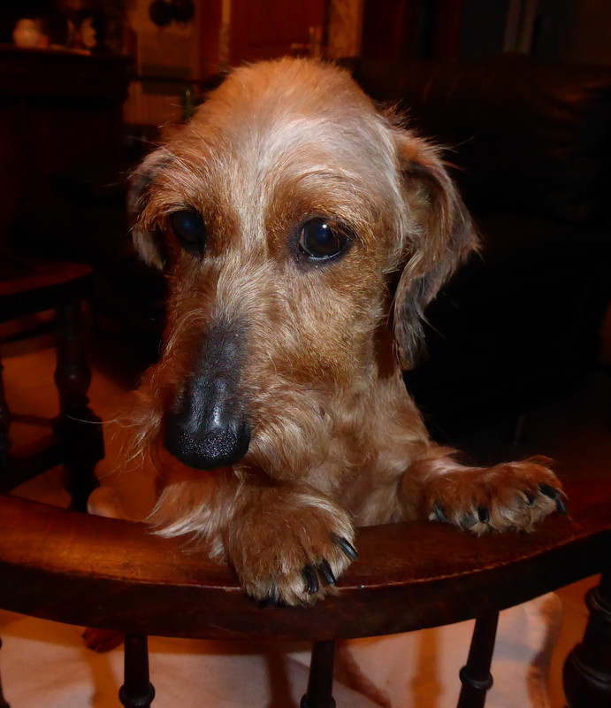 [Image: P1040634.jpg]