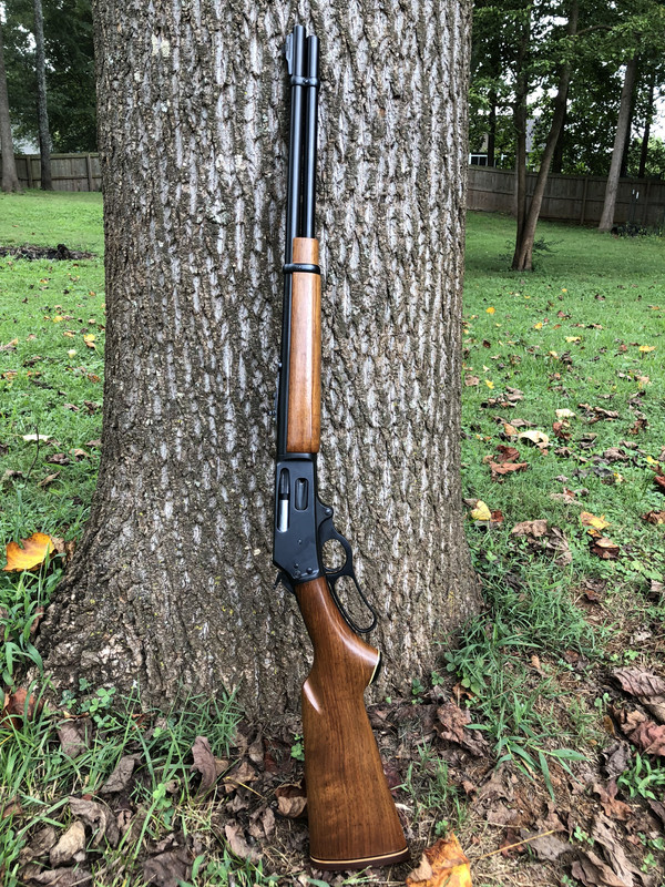 B262FD66-FE80-47BF-BF84-FE316FA5ADC4