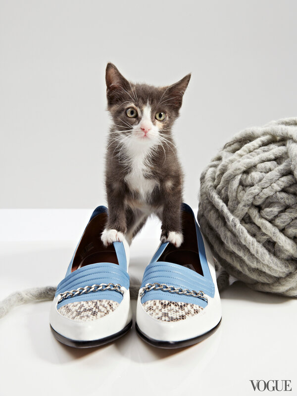 cats-kittens-flats-shoes-03-204107517011