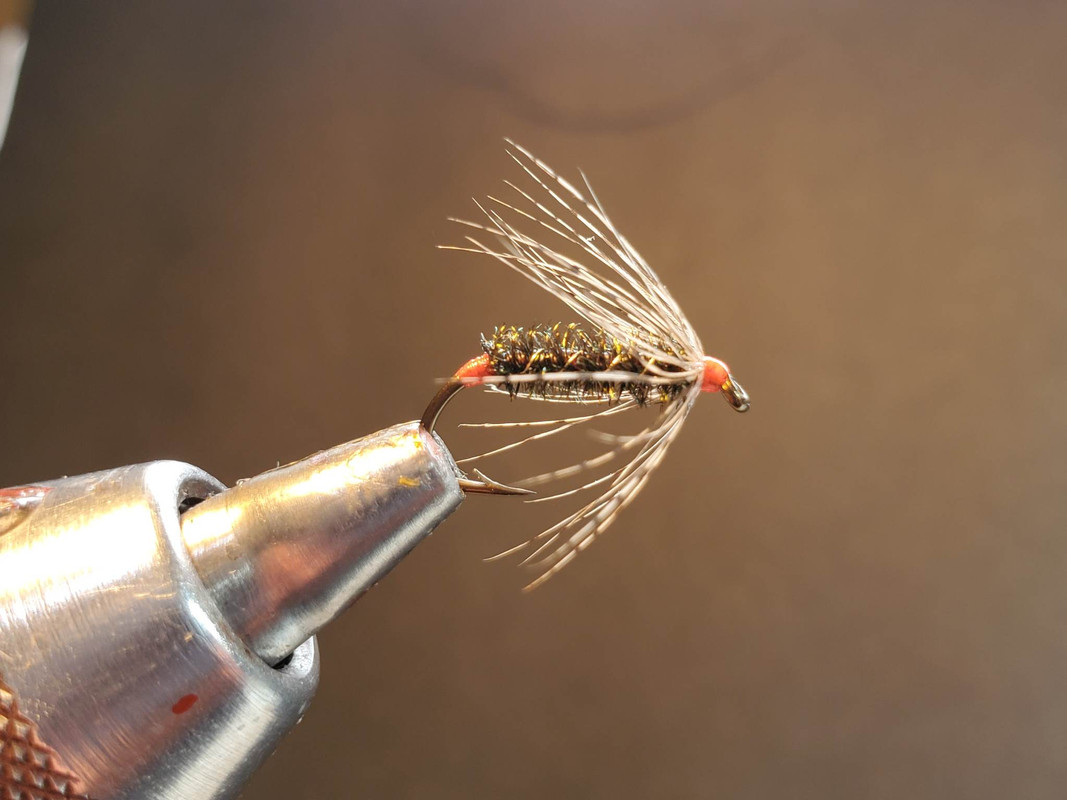 344273993_615239373965665_4130031918156102582_n