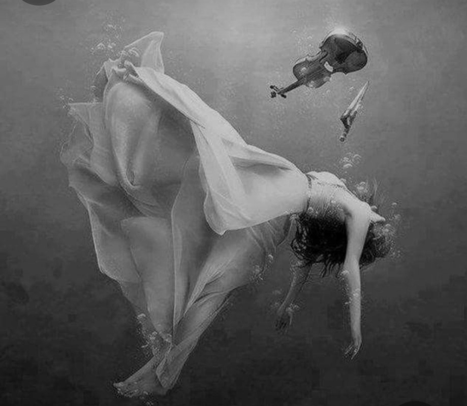 Screenshot_20231128_194442_Pinterest