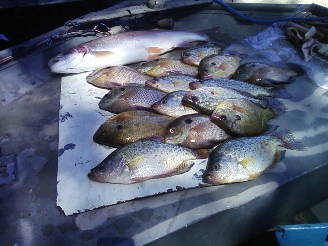 Photo258 (2)