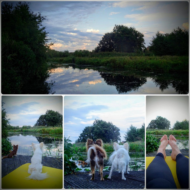 InShot_20200820_204832621~2