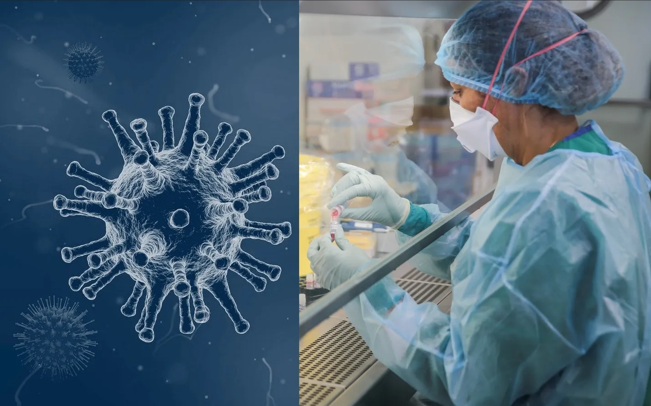 ¿Qué es la enfermedad X? OMS advierte sobre potencial pandemia internacional