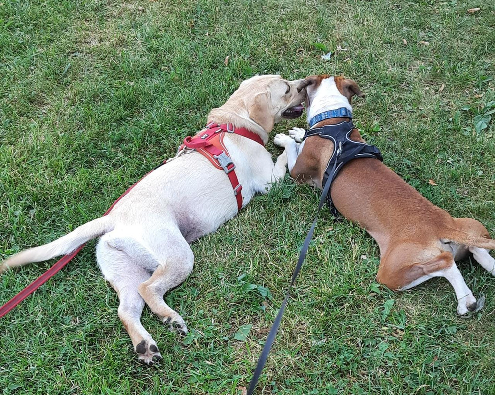 A5616DB3-B9B7-47E3-9E5C-7B90D4B457EC