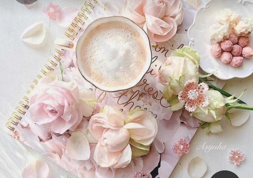 Screenshot_20230228_000942_Pinterest