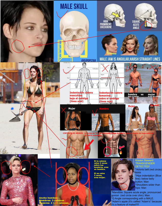Kristen-steward-transgender-detected-324537.jpg