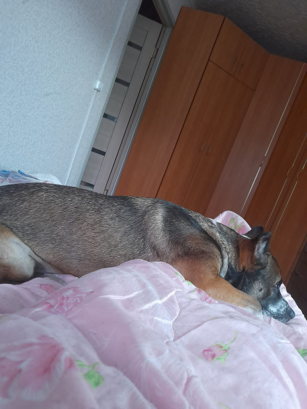 DA1C1A79-01B2-487D-8225-1FBCE8B88ABD