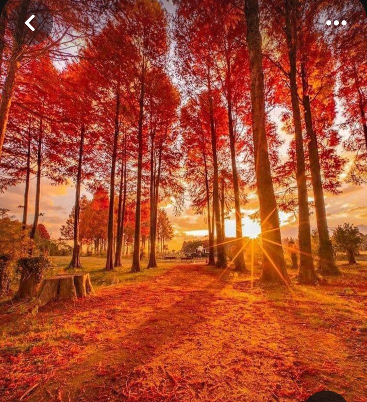 Screenshot_20240218_205752_Pinterest