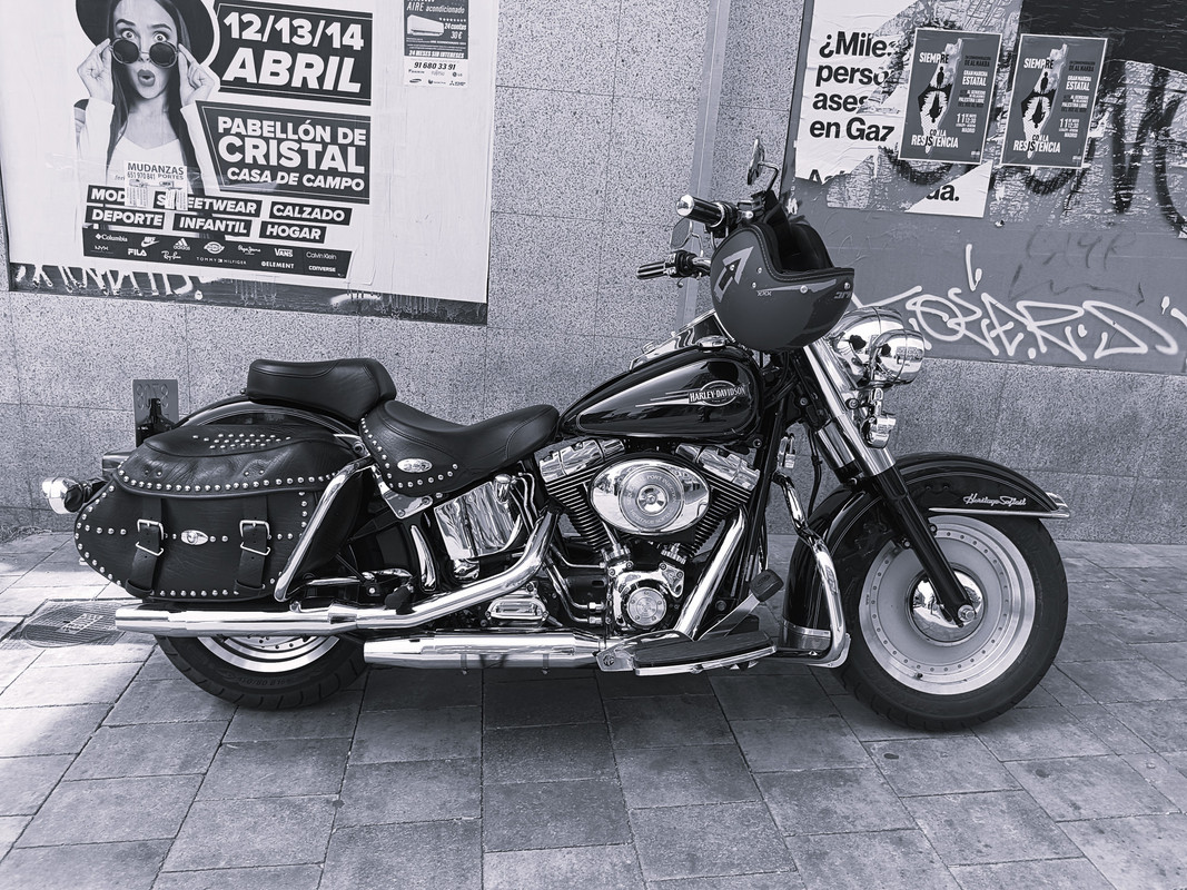 IMG-20240512-120915-bn.jpg