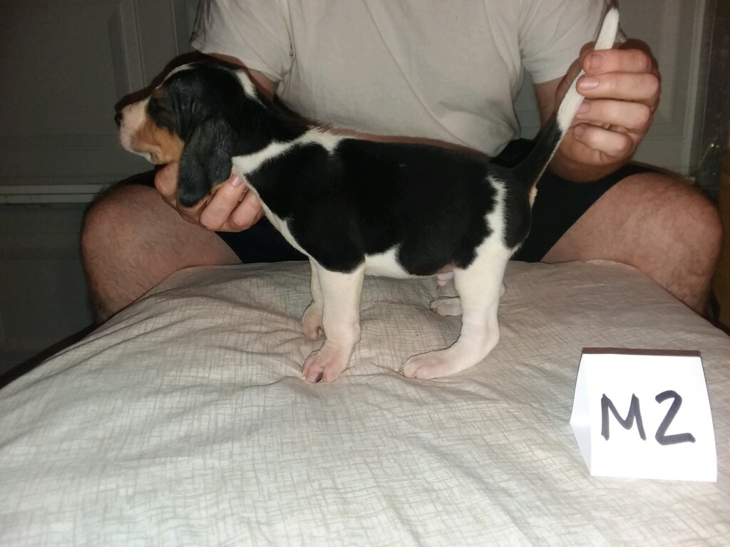 21C8A043-0226-4F37-9A7C-7E1CD6C54F87