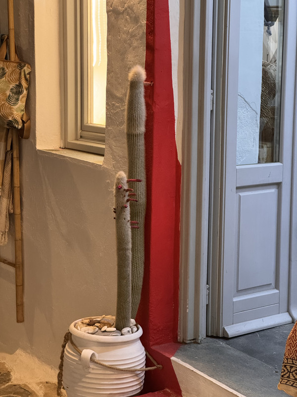 https://i.postimg.cc/kX5HCz8V/IMG_7330.jpg