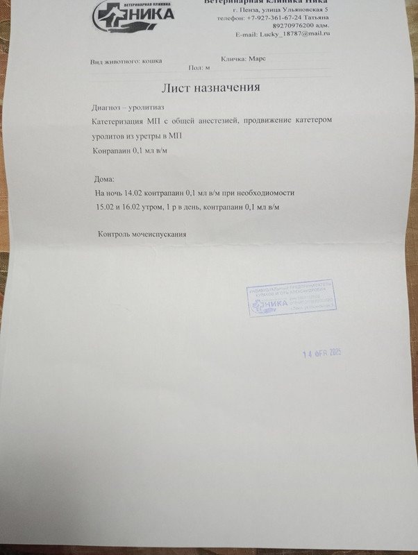 марс лист назначений 14.02.2025