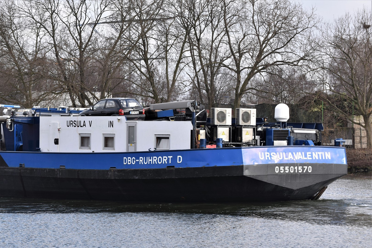 2021.02.27a5 Urs. Valentin