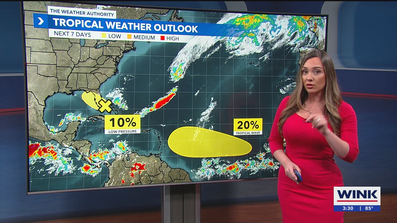 10.02 - 20.00.00 - WINK News at 3pm  ᴺᵉʷ. Stay informed with the late....ts_snapshot_00.31.31.775