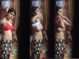 pornvdio Desi Girl Boobs Video Capture