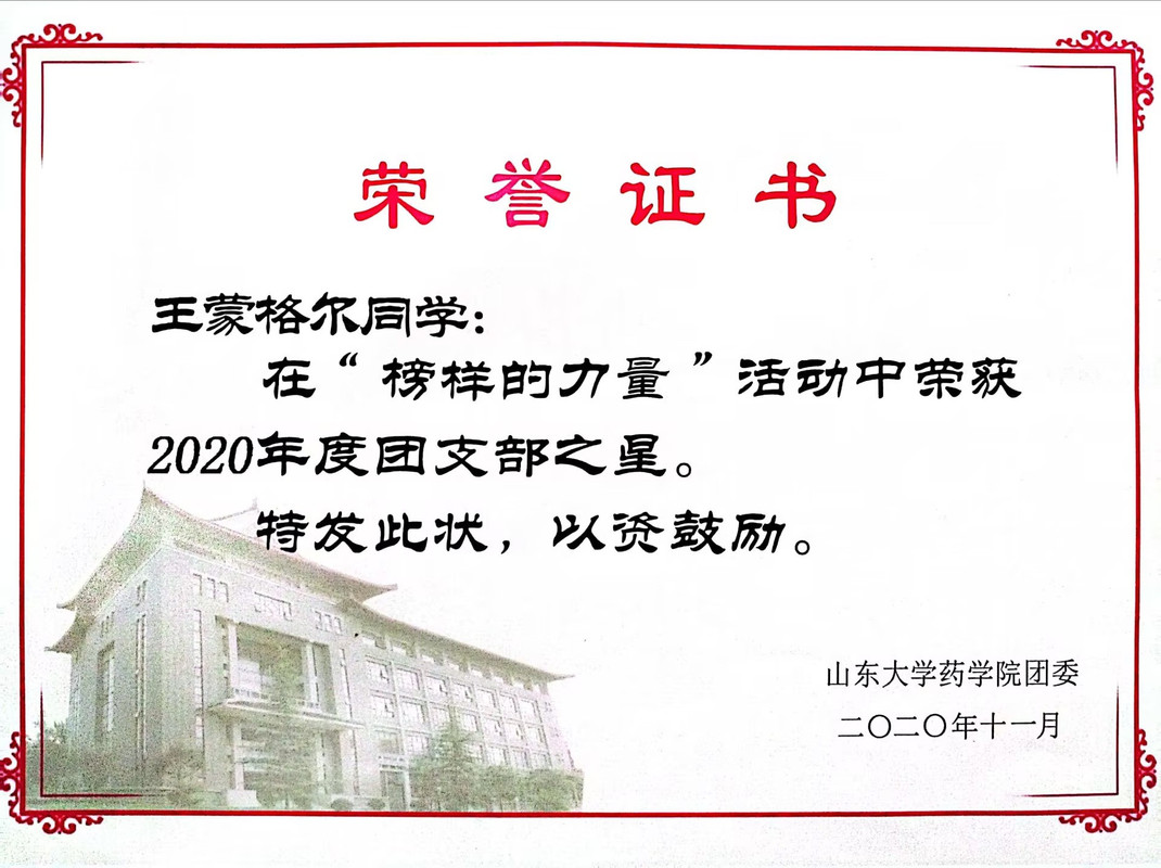 2020年度团支部之星榜样的力量