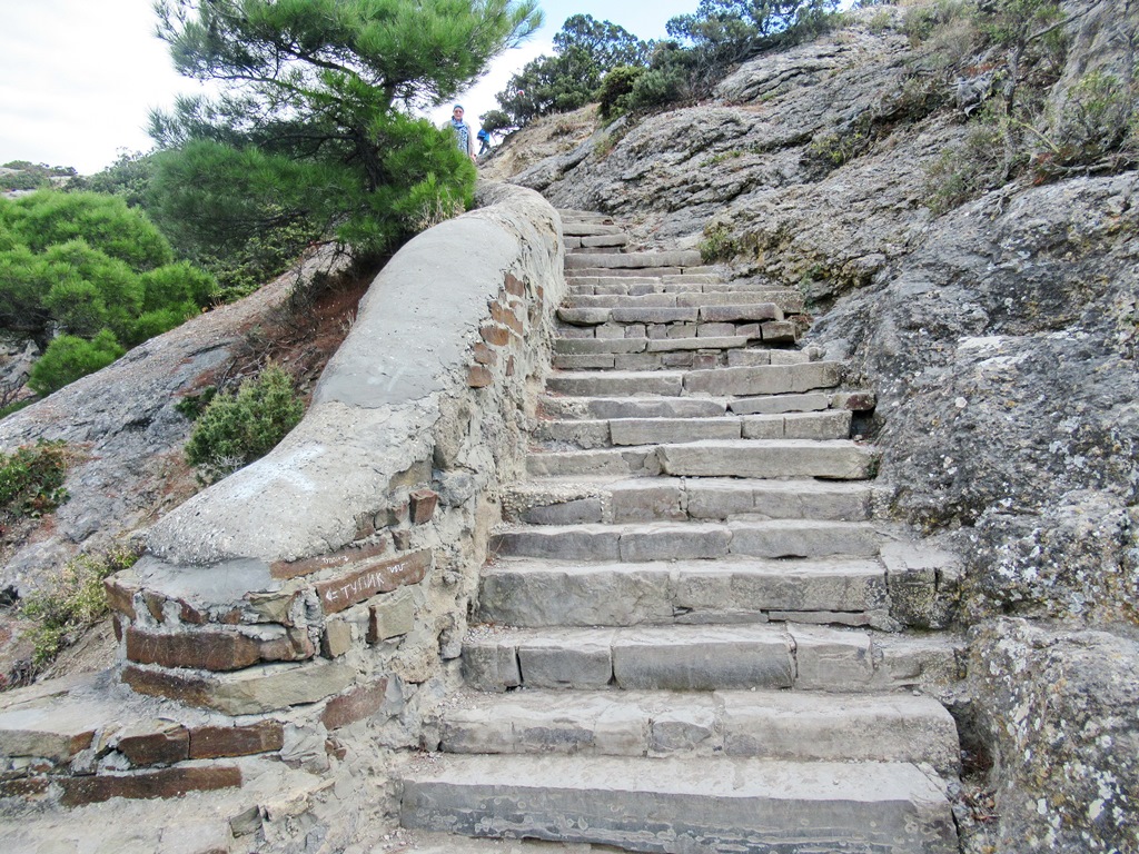 https://i.postimg.cc/kX6Fqfzg/IMG-1499q.jpg