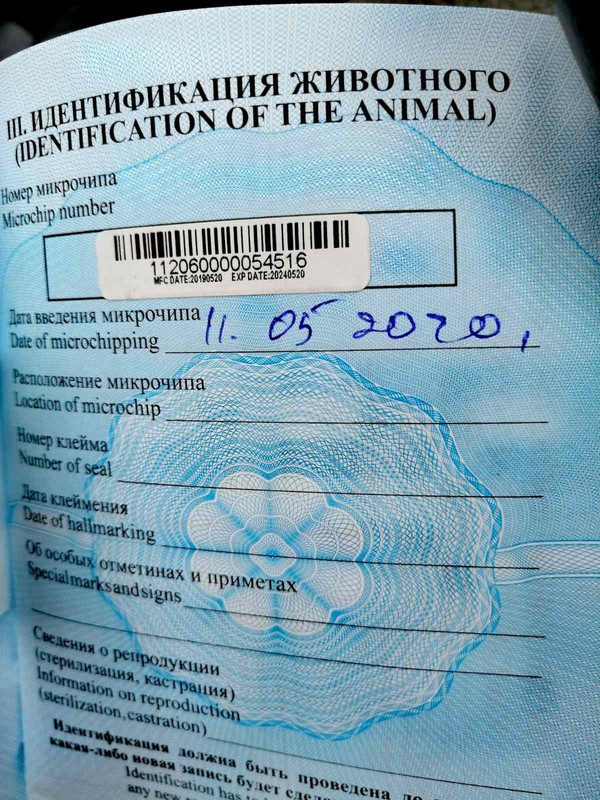 изображение_viber_2020-05-11_17-28-19