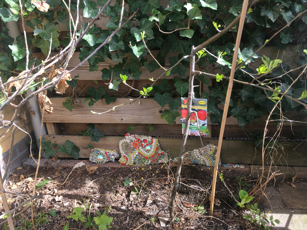 06E59FD0-153A-44C1-B5E3-A15133AD340D