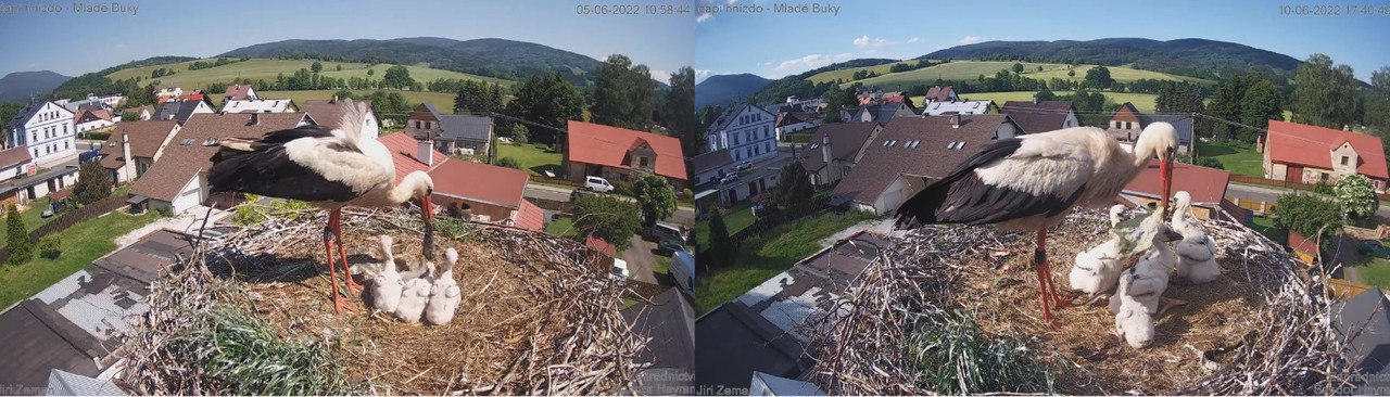 WhatsApp Image 2022-06-10 at 8.50.57 PM (2)