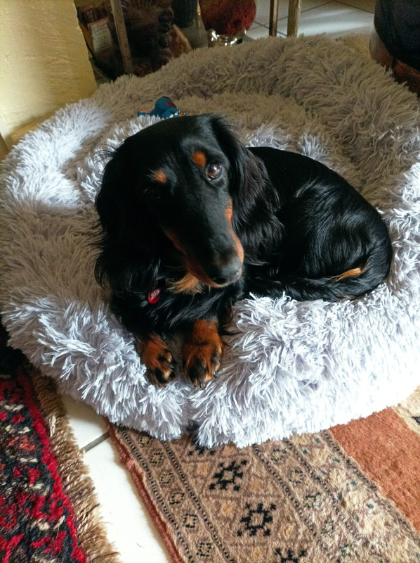 [Image: 344558614-898694381358976-220809599237678755-n.jpg]