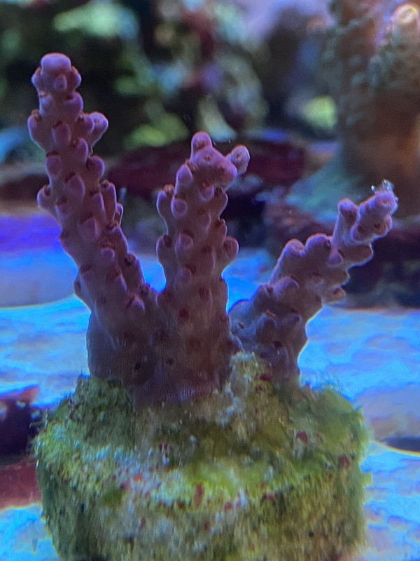 173F2D5F-0FD0-460E-B1B9-26EF8995F343