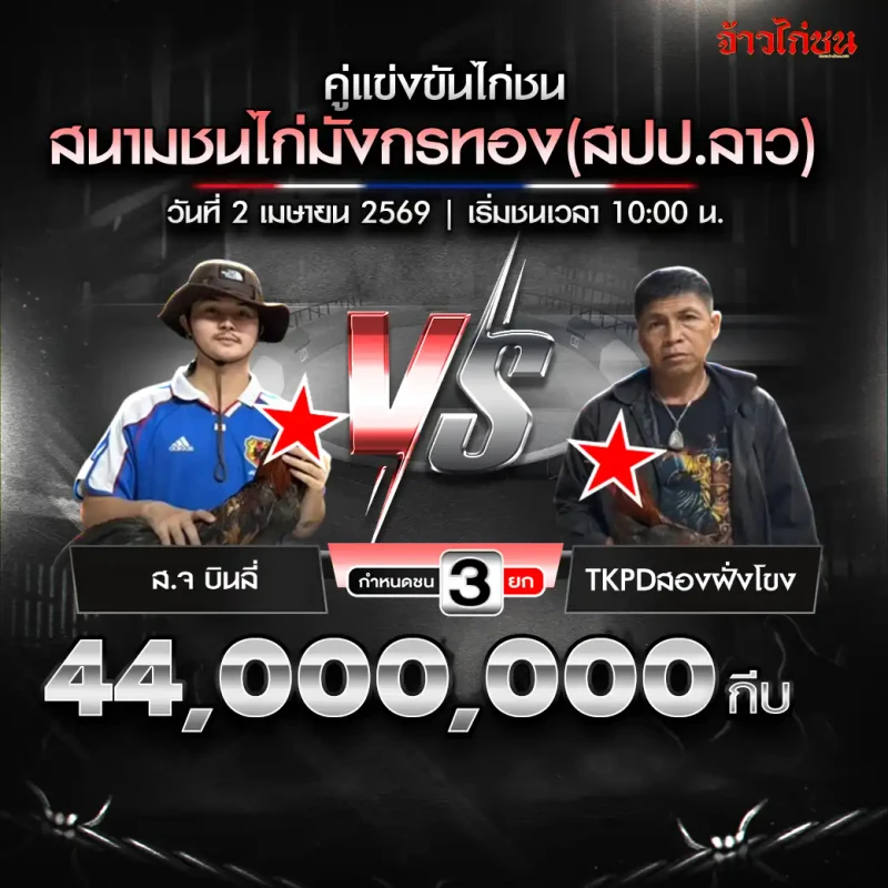 ส.จ.บินลี่ พบ TKPDสองฝั่งโขง สรุปผลไก่ชน สนามชนไก่มังกรทอง