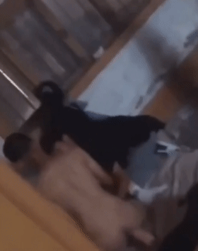 Shouguang Shengdu Middle School Chen Mengnuan Sex Scandal