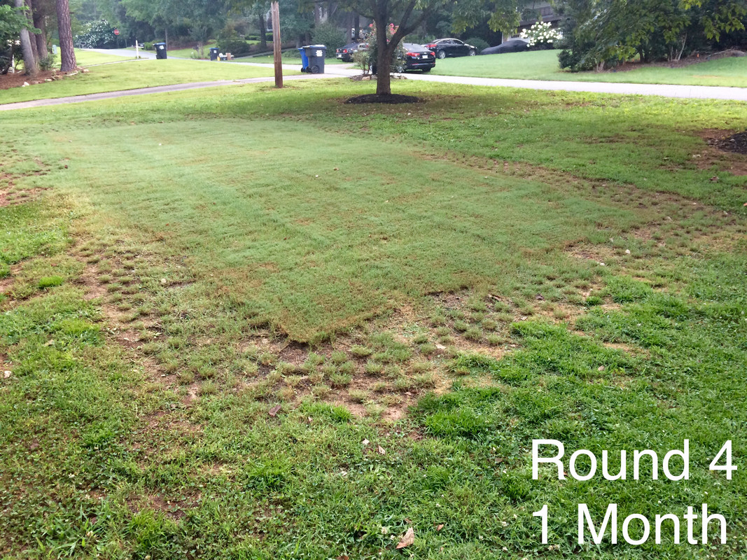 9E8512E1-D150-46D6-94D5-5C517BAB9E66