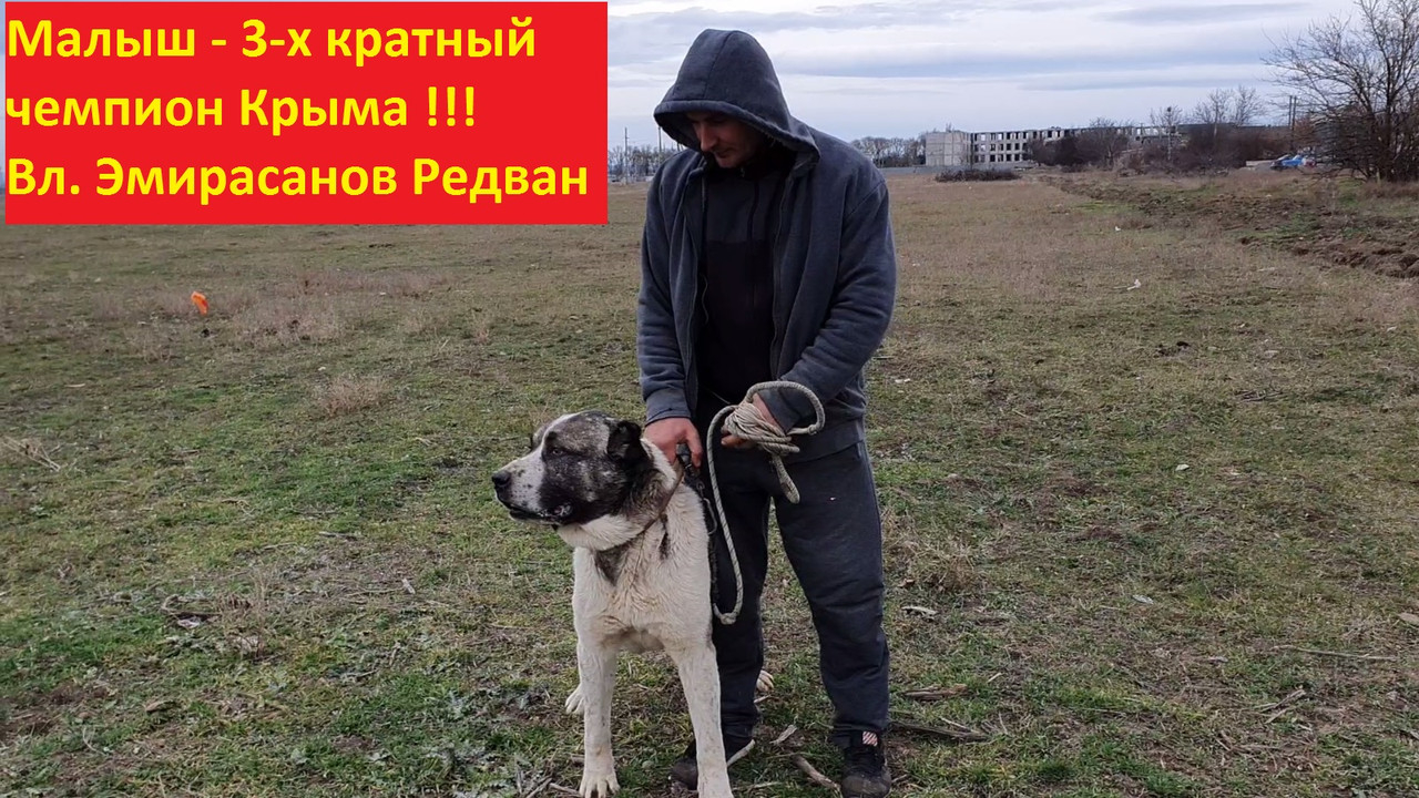 Безымянный