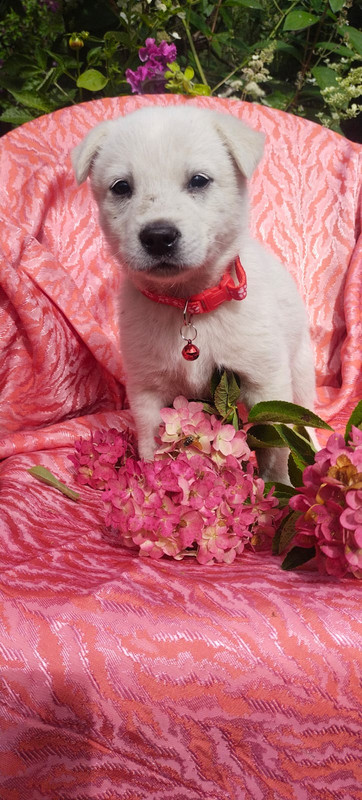 Изображение WhatsApp 2025-08-19 в 10.53.14_6541b5a1