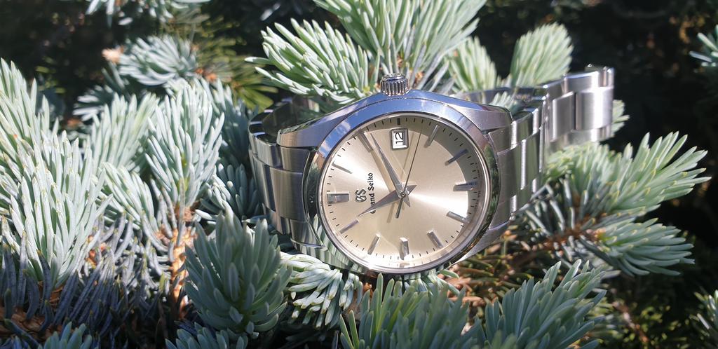 Le club des heureux propriétaires de Grand-Seiko Tome XIII - Page 39 20190512-111117