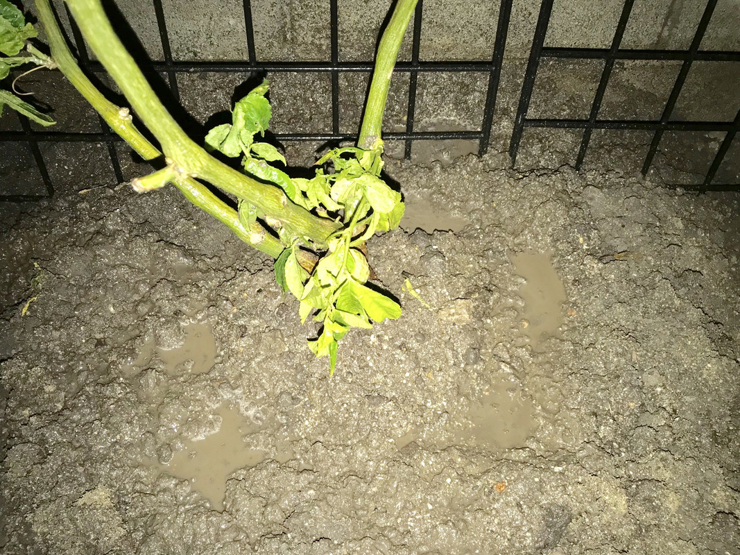 048C395D-967B-48EE-AA10-B49AC7542602