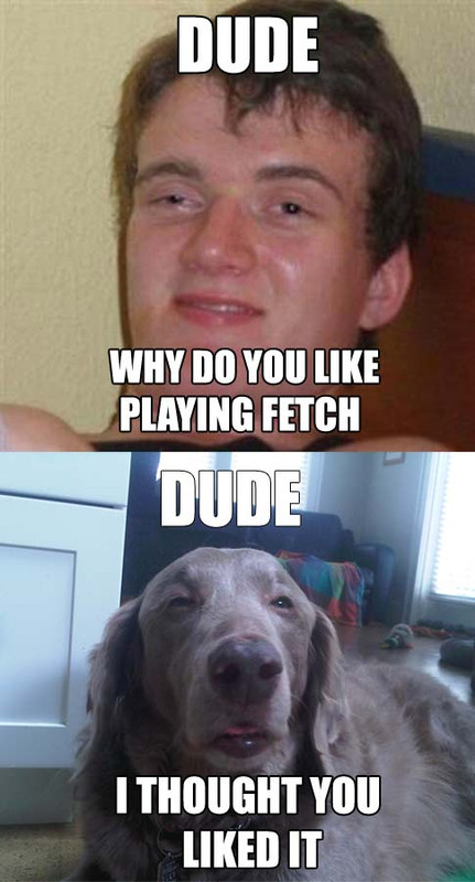 iyKFvY7.jpg
