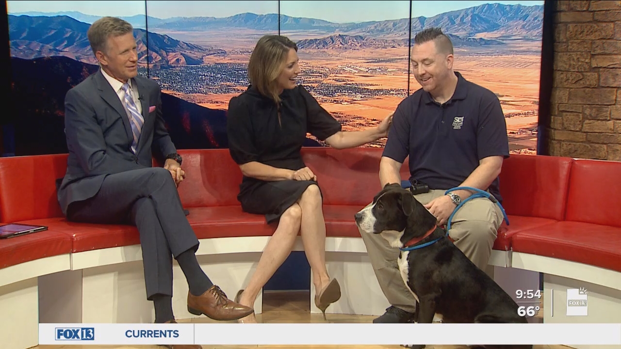 10.04 - 16.00.00 - FOX13 News  Good Day Utah 9AM  ᴺᵉʷ. Utah news, wea....ts_snapshot_00.56.29.819