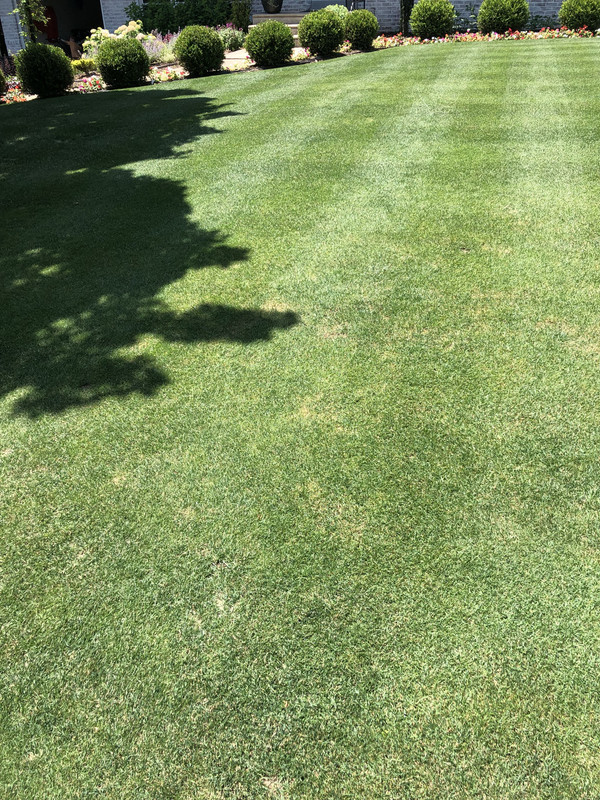 6329CD21-ED6F-4C52-BED0-AD41E33EDF84