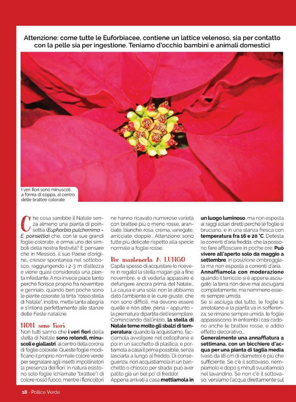 Pol Ver Nov-Dic 2021 (4)