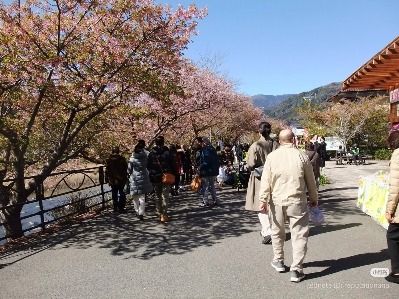 photo 18 2025 12 17 21 28 21