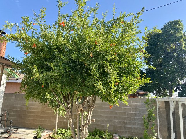 [Image: E3-F218-E8-A1-B2-421-A-BD8-F-502735-E5-D12-D.jpg]