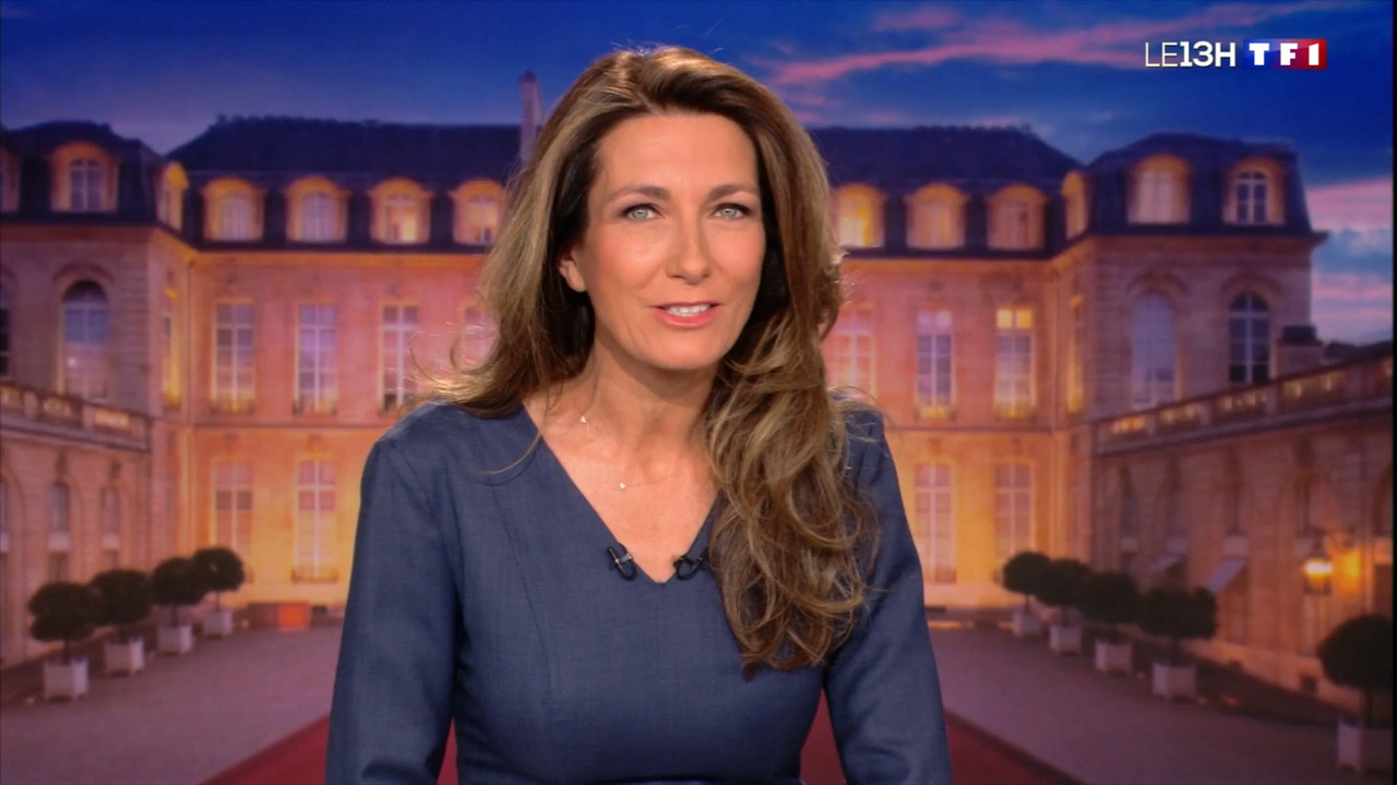 2022-04-24_13_00_TF1_Le-13h.mp4_snapshot_00.11.24.855