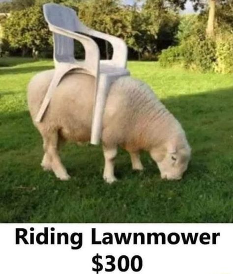 [Image: riding.jpg]