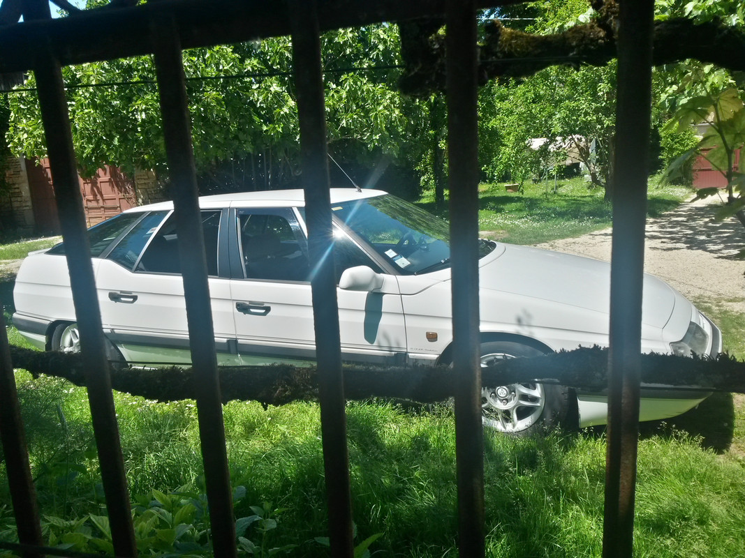 XM - SYMBOLE DE LIBERTÉ