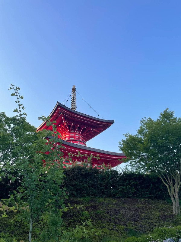 IMG_20240520_080632_774