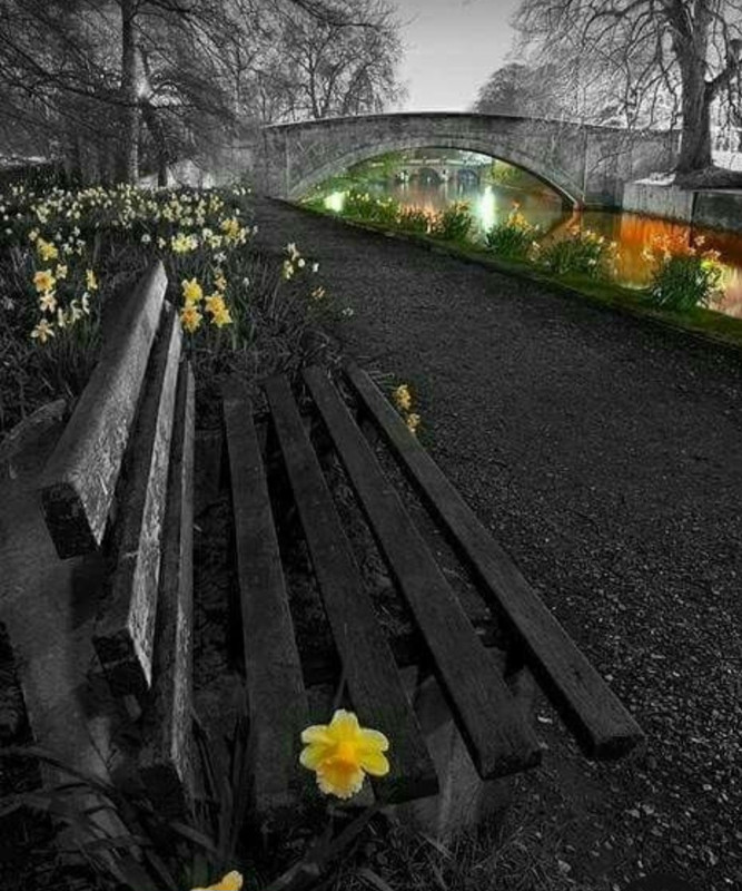 Screenshot_20230420_005549_Pinterest