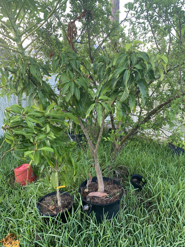 D83C29FC-B318-4F6D-AF4D-1EDCF7E5D39C