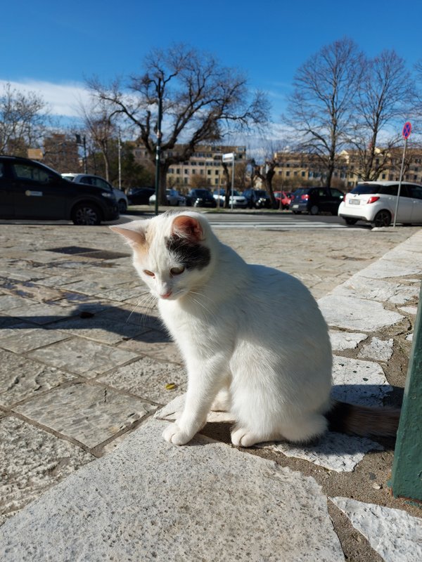 Slika