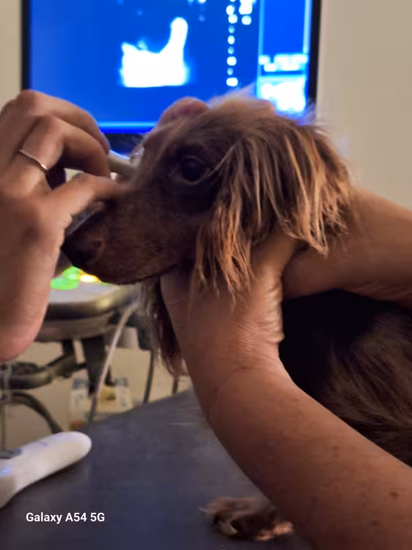 [Image: 20240924-150033.avif]